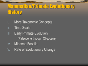 Chapter 7 Mammalian/Primate Evolutionary History