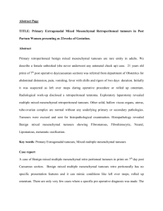 Abstract Page TITLE: Primary Extragonadal Mixed Mesenchymal