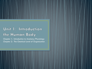 Unit 1: Introduction the Human Body