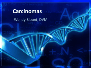 Carcinomas - Wendy Blount, DVM