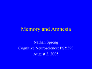 PSY393 Memory