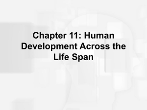 Chapter 11 Human Growth and Development