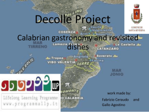 Decolle Project