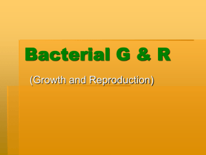 Bacteria Growth&Reproduction 06