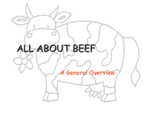 Quality of the Beef