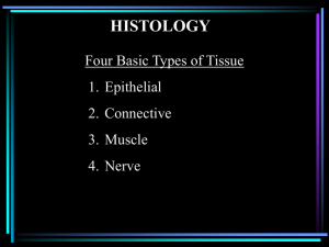 HISTOLOGY Four Basic Types of Tissue
