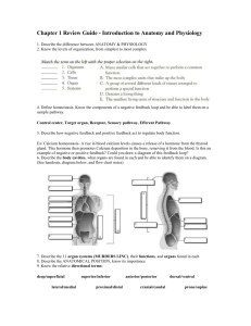 Anatomy Review guide Unit1