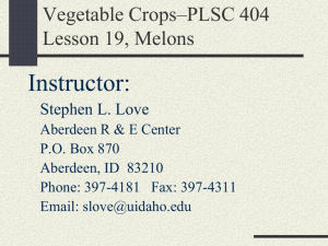 Veg Crops-Lesson 19 Melons