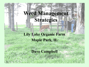 Weed Management Strategies - University of Illinois Extension