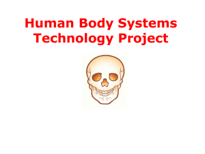 Human Body Systems DR. I MCSNEER