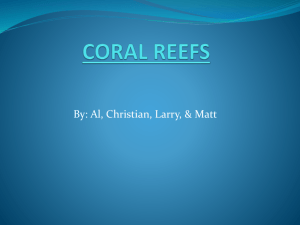 marine bio powerpoint - coral reefs - MarineBiology