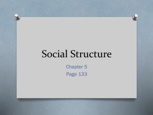 1. Social Structure PowerPoint