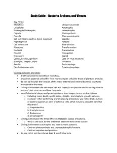 Study Guide – Bacteria, Archaea, and Viruses Key Terms: Microflora