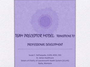 team preceptor model: transitions to