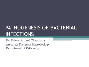PATHOGENESIS OF BACTERIAL INFECTIONS