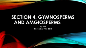 Section 4. gymnosperms and angiosperms
