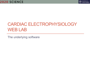 Cardiac electrophysiology web lab