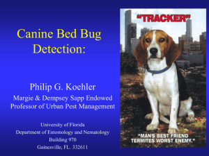 Canine Bed Bug Detection - IPM Florida
