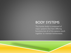 Body Systems PP