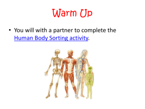 Human Body Systems. Click here for this week's notes!