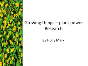 Growing things * plant power Research