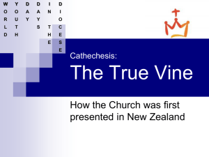 Catechesis Presentation of the True Vine