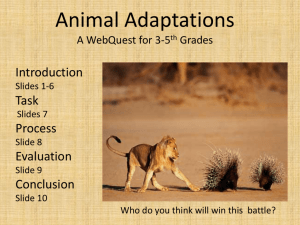 AnimalAdaptationWebquest (1)