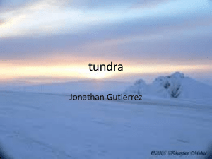 Tundra - Jonathan