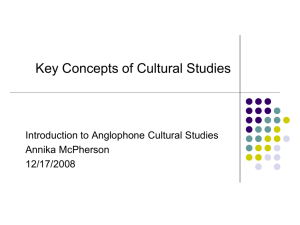 Cultural Studies - Angl-Am