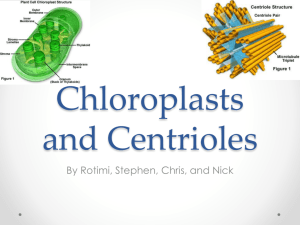 Chloroplasts and Centrioles