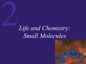 PowerPoint Presentation to accompany Life: The Science of Biology