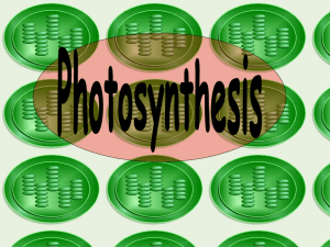 ATP_ Photosynthesis_Respiration ppt
