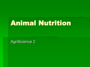 Animal nutrition ag2