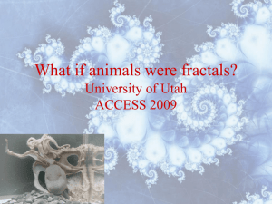 What if Animals were Fractals?