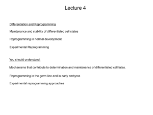 lecture 4 revised 2013