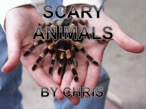 scary animals by chris