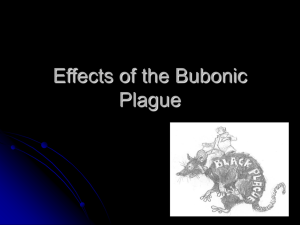 Effects of the Bubonic Plague