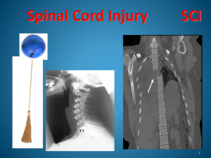 Spinal Cord Injury Snap II