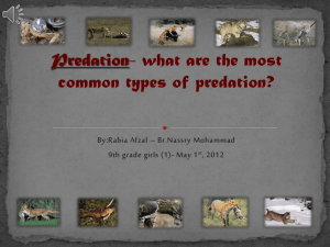 Predation- what are the most common types of predation?
