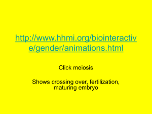 http://www.hhmi.org/biointeractive/gender/animations.html