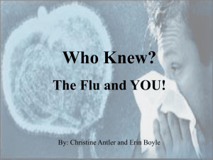 How the immune system targets influenza