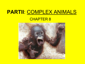 PARTII: COMPLEX ANIMALS