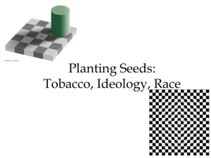 Planting Seeds: Tobacco, Ideology, Race