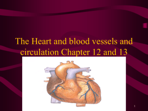 The Heart and blood vessels and circulation Chapter