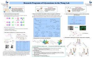 Basic research on carbohydrate processing enzymes and glycomics