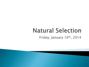Natural Selection - Mr. Littman's Science Class