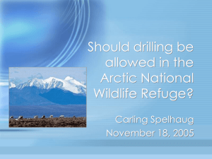 PowerPoint Presentation - Should drilling be allowed in the Arctic