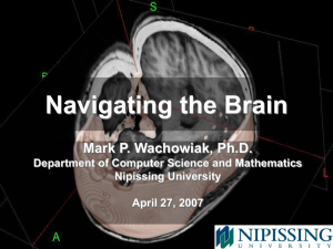 Navigating the Brain - Numeric