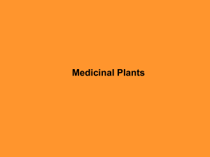 Medicinal Plants - School of Life Sciences