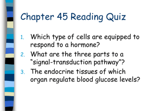 1. Describe how and in what ways the endocrine system and the